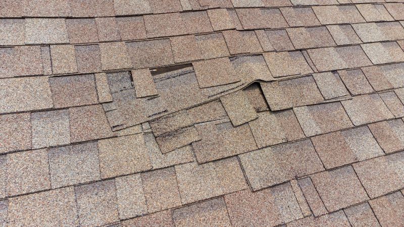Asphalt Roof Repair Image 1
