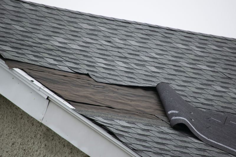 Asphalt Roof Repair Image 3