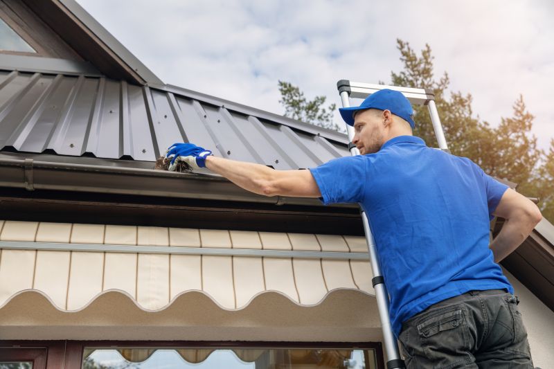 Gutter and Roof Care